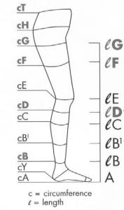 measuring leg